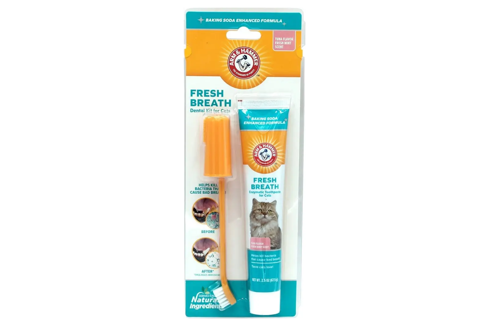 Cat toothbrush and paste