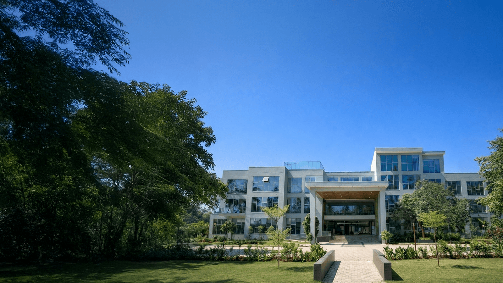 IB school students in Bangalore participating in collaborative outdoor activity