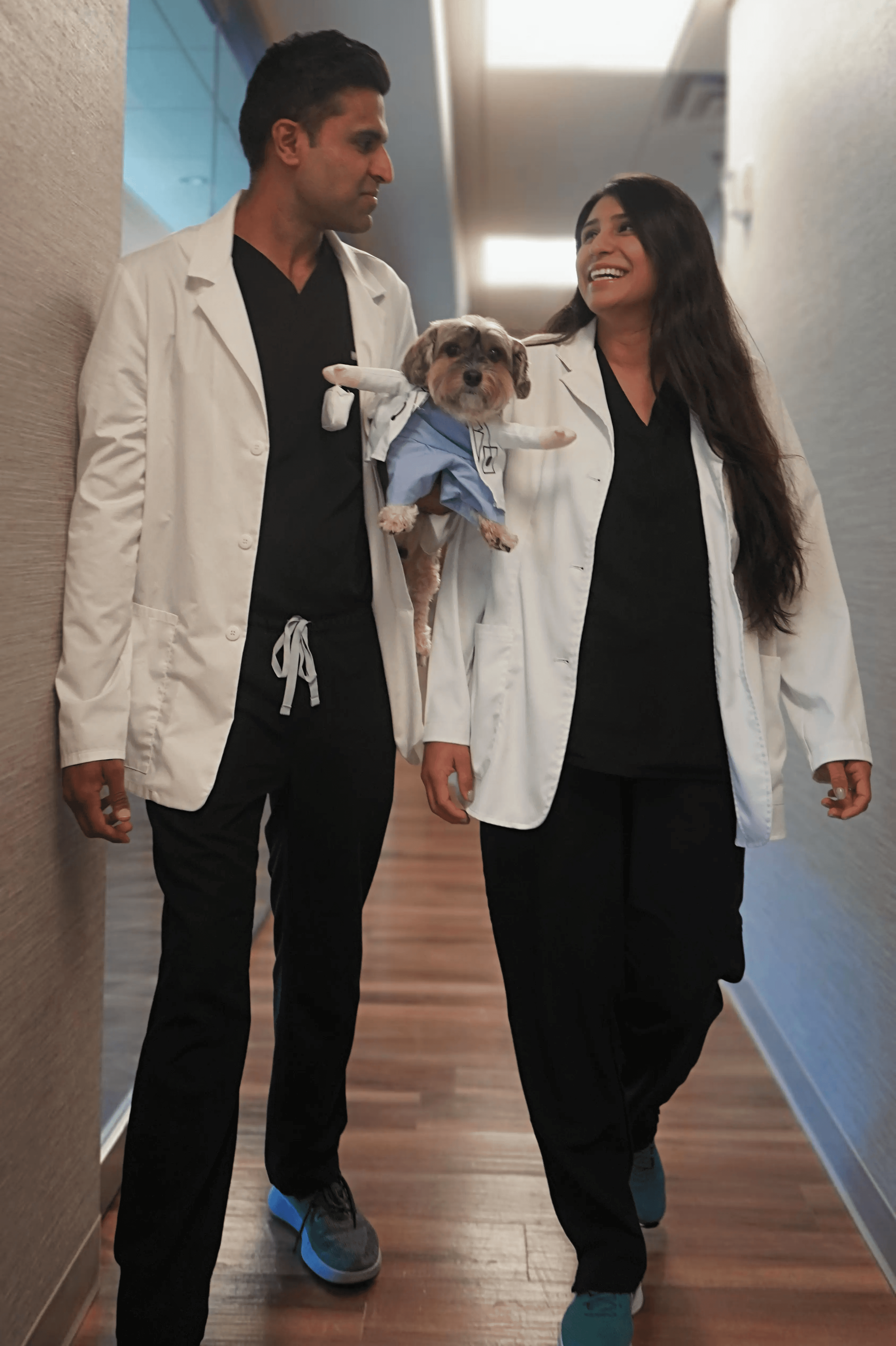 smyrna dentists