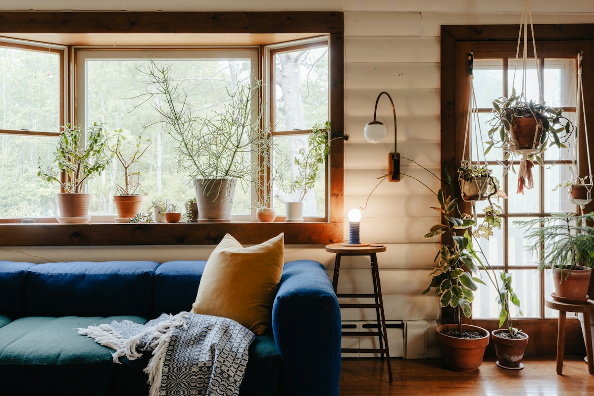 Welcoming tidy living room with navy sofa and plants