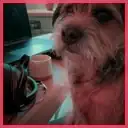 Profilbild von Nina Ellis für Rezensionen zu unserem AI-Tiktok-Videogenerator