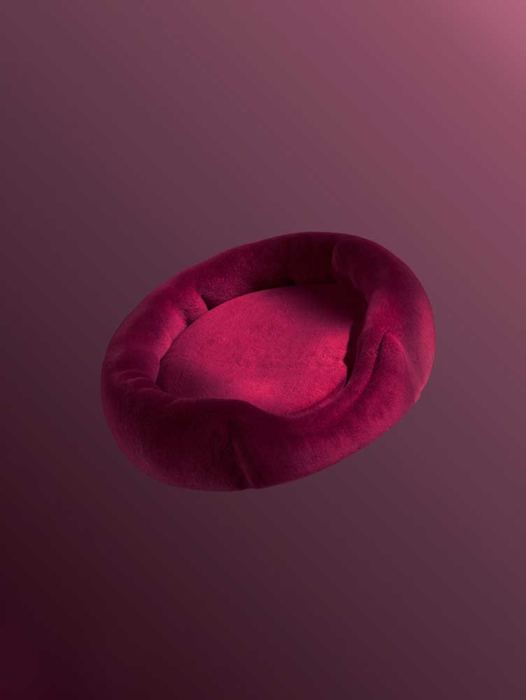 Direktvergleich Produktfotografie vs. 3D CGI Rendering, gleiche Perspektive und Beleuchtung, Qualitäts- und Stilvergleich