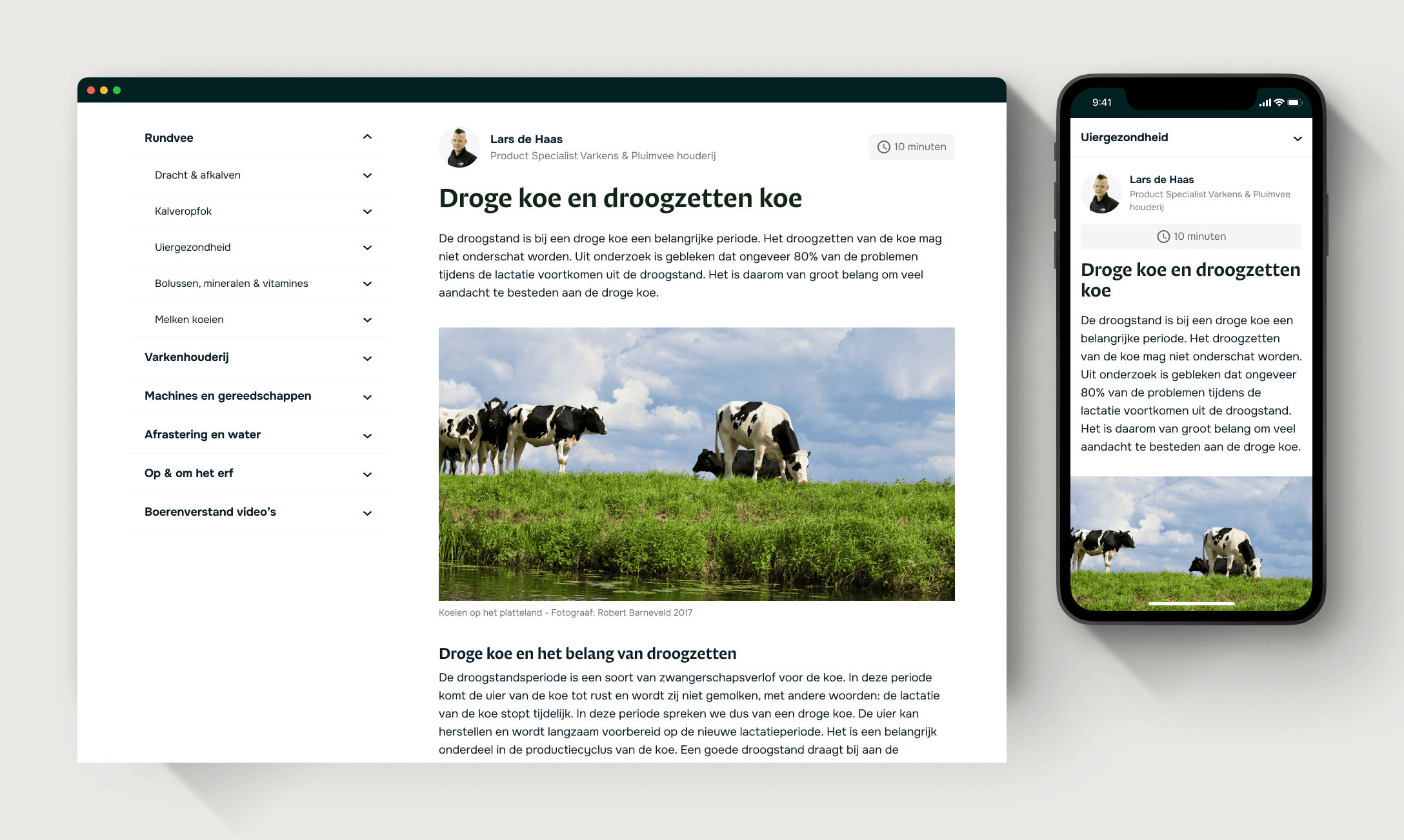 A home page of the desserts shop website