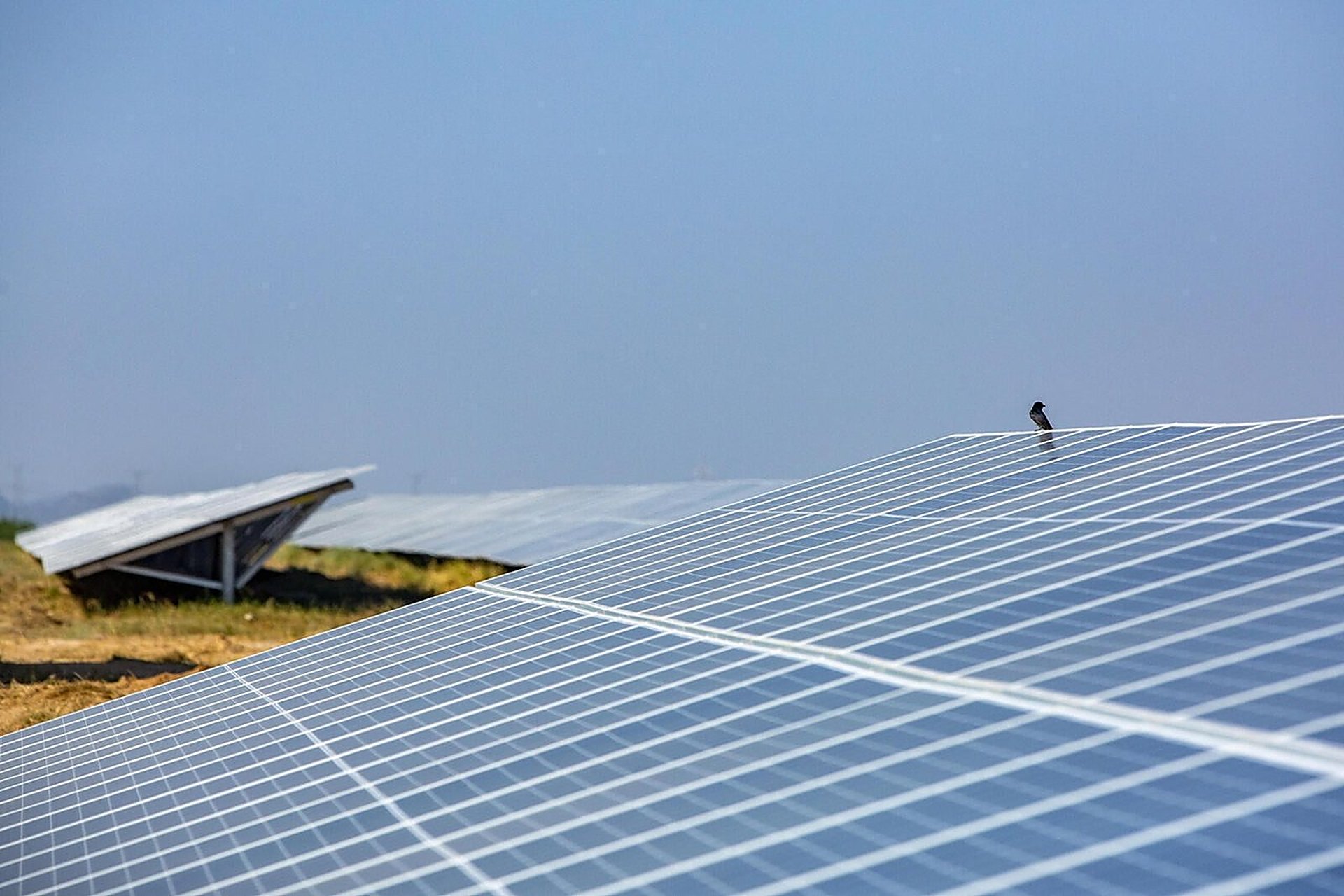 Des panneaux solaires photovoltaïques sous un ciel bleu, l'image de ce que le Qatar aligne dans le désert à l'ouest de Doha pour la centrale de Dukhan