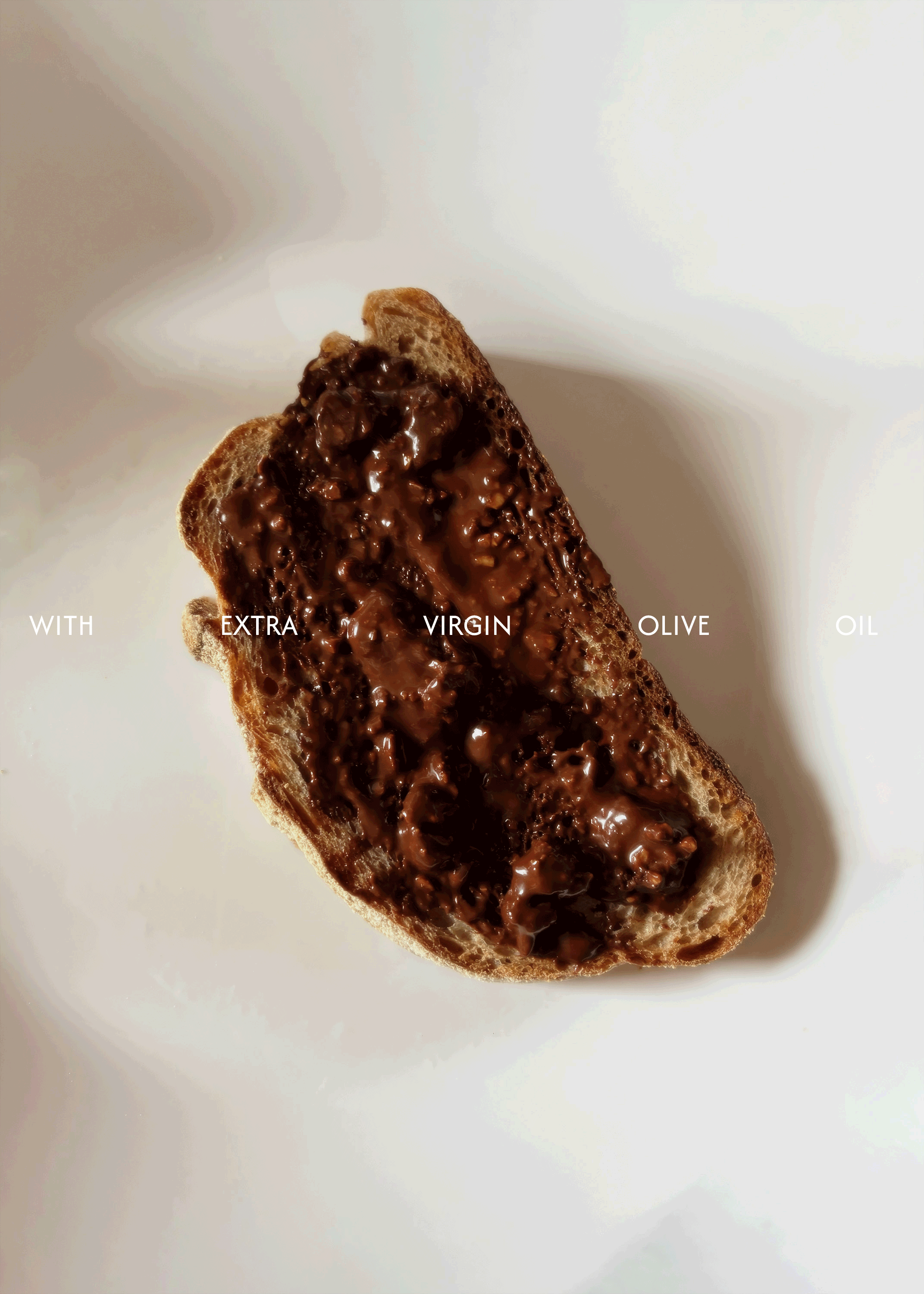 photography by selina donohoe - brand identity