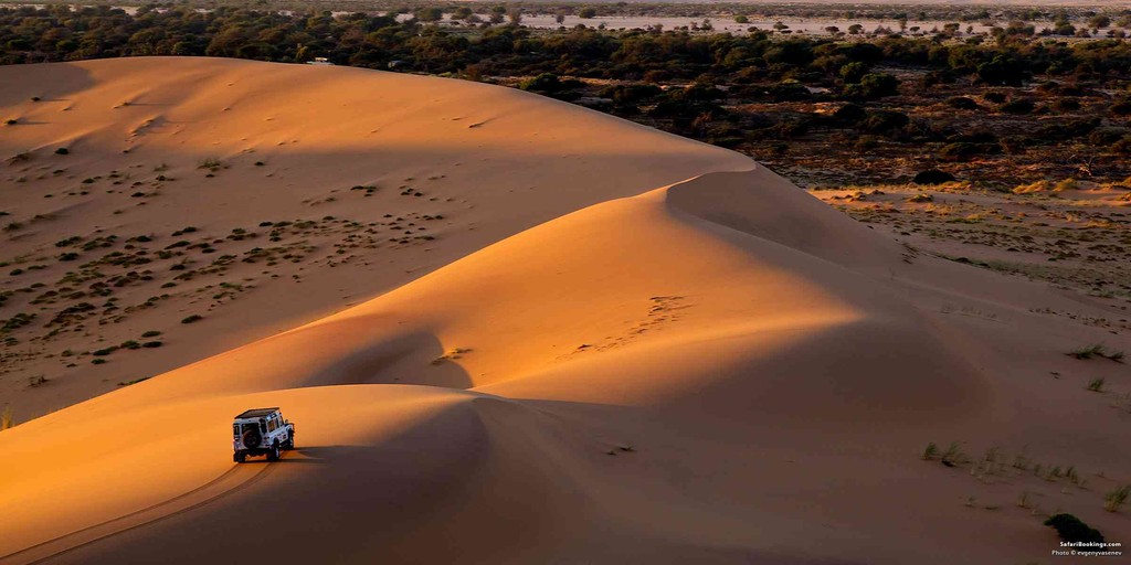 Namib Desert