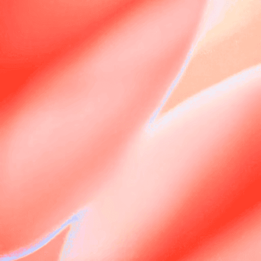 A blurred background