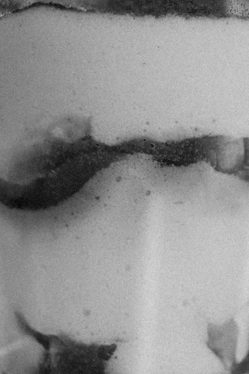 Creative Direction for Weinstube Fröhlich Stuttgart