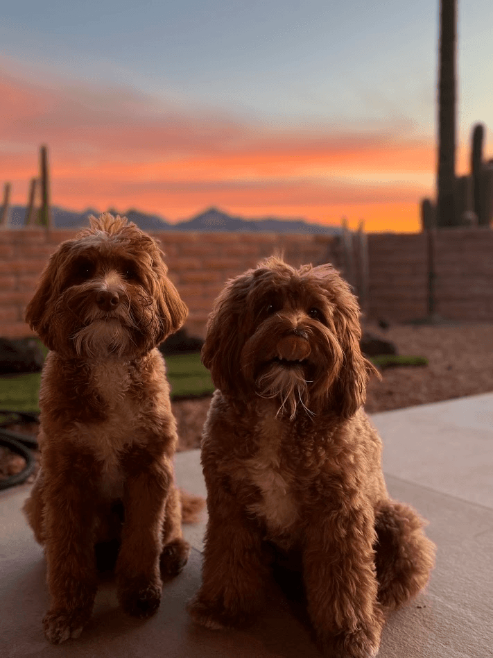 Man Wearing Black Coat
