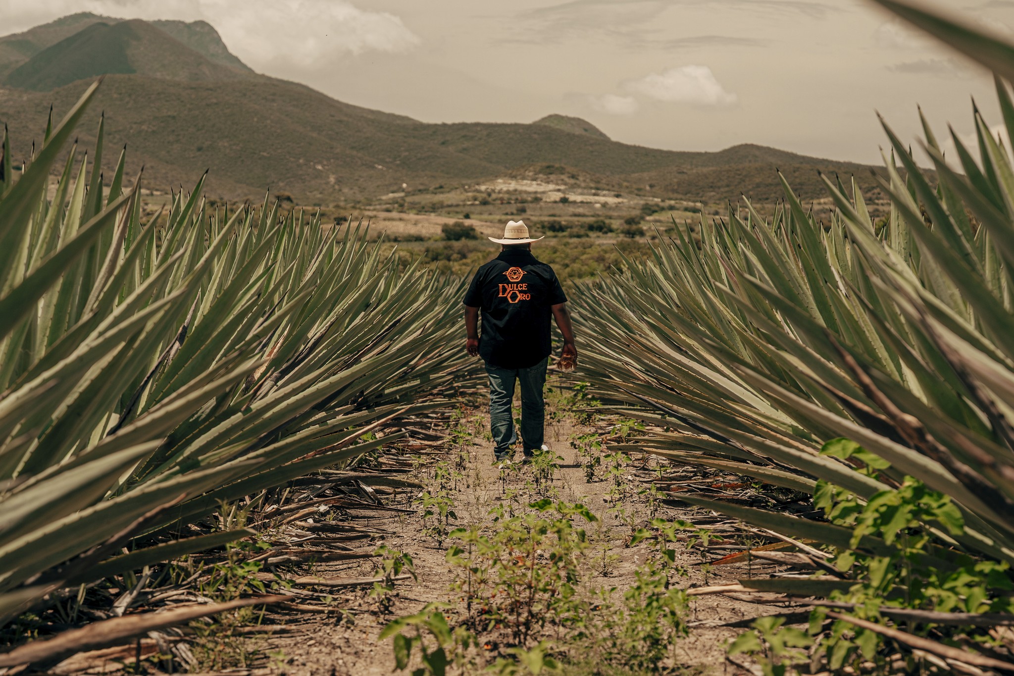 a couple of bottles sitting on top of a wooden table