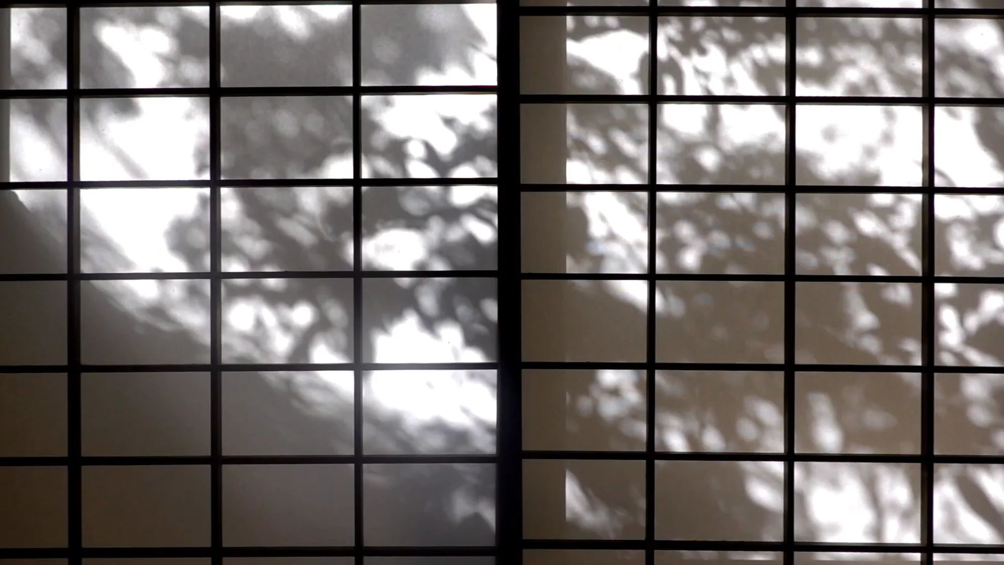 Leaf shadows falling across a shoji screen at a Kurokawa inn