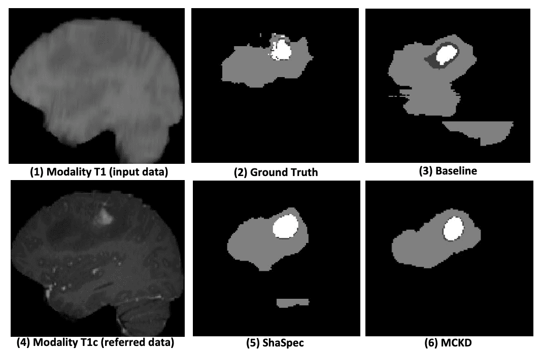 Reify Website - Essential Features Section