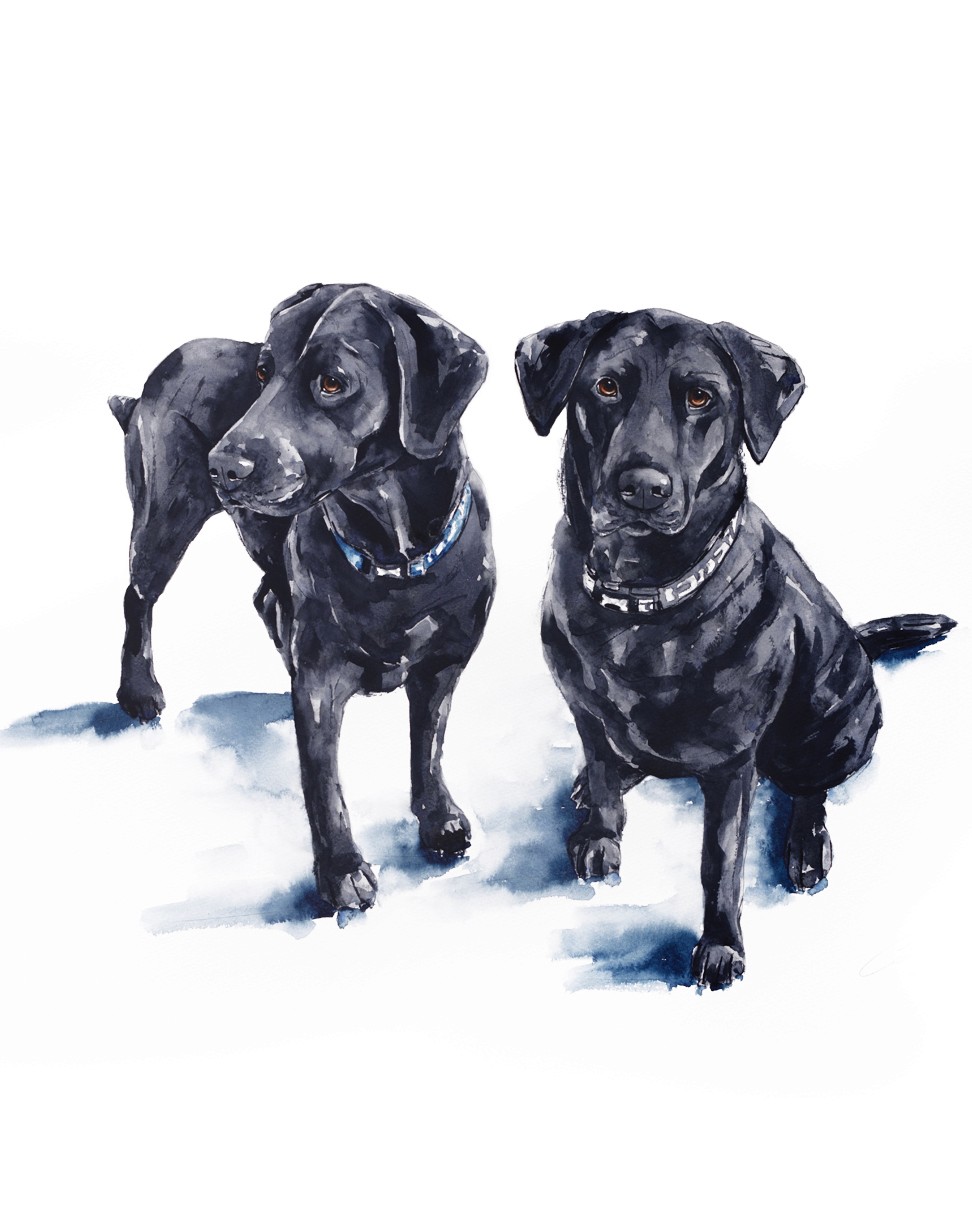 Watercolour painting of cat