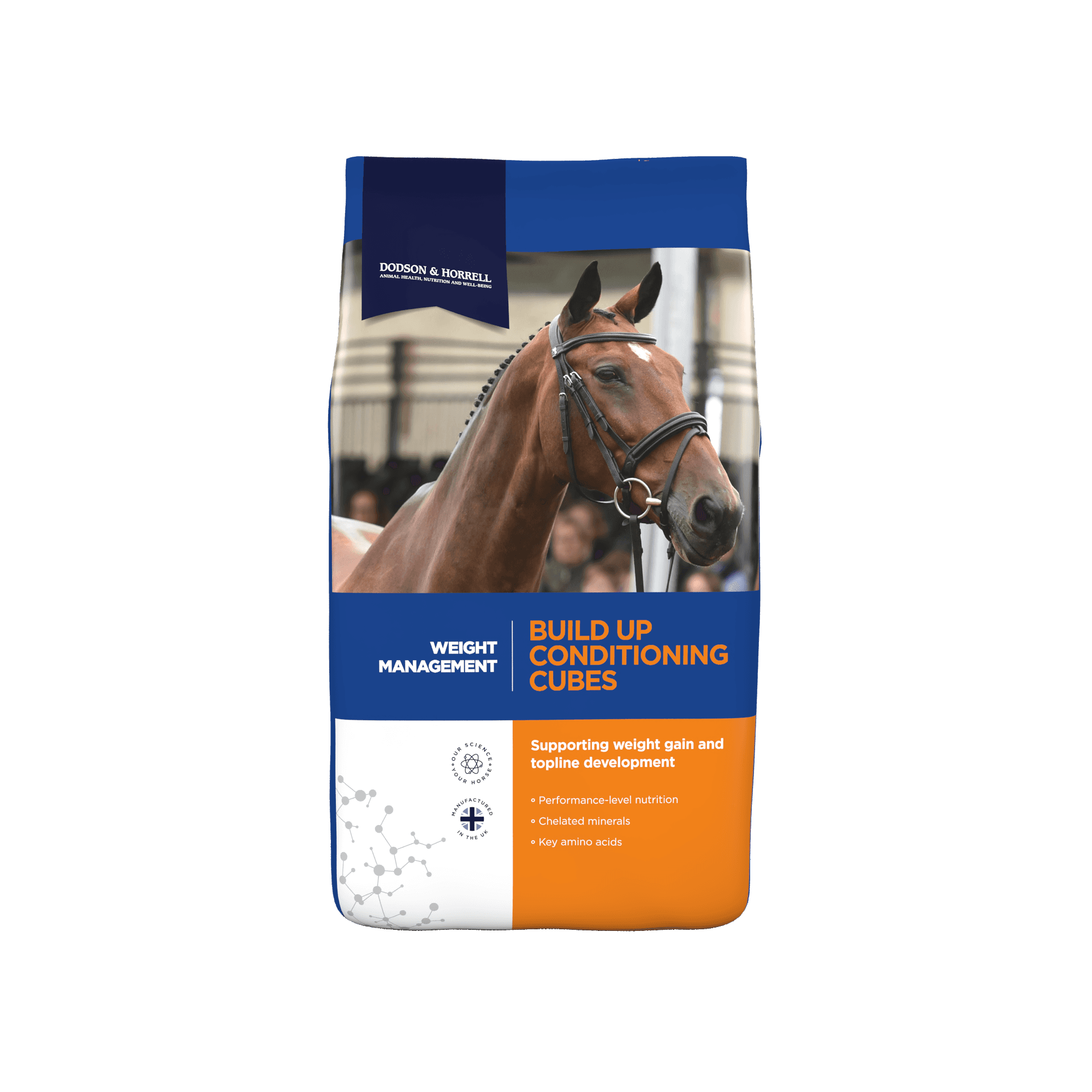 brown horse with silver round pendant necklace