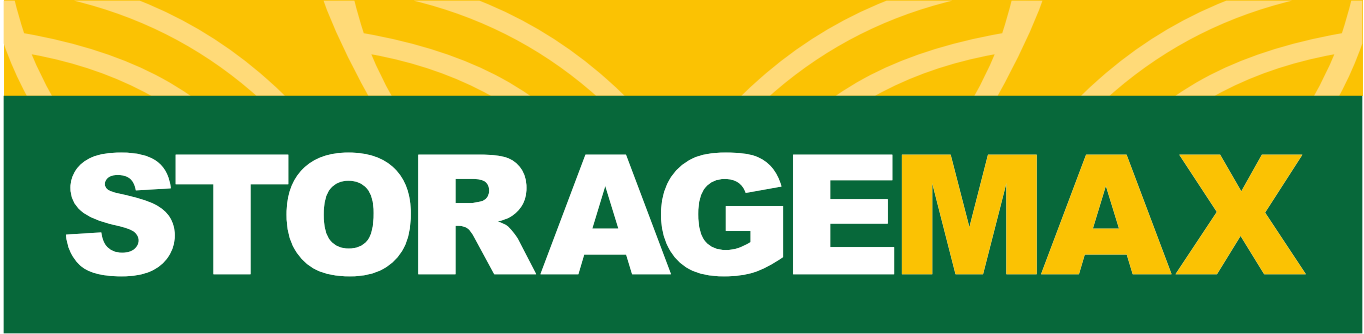 Surfing logo