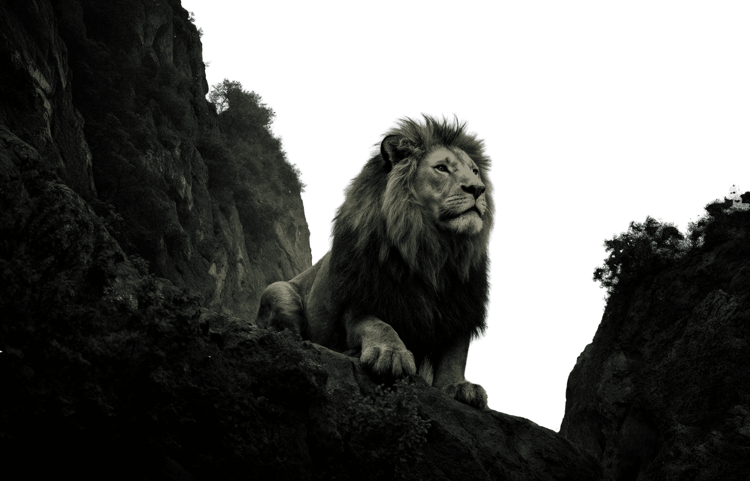 Lion resting on a rocky outcrop