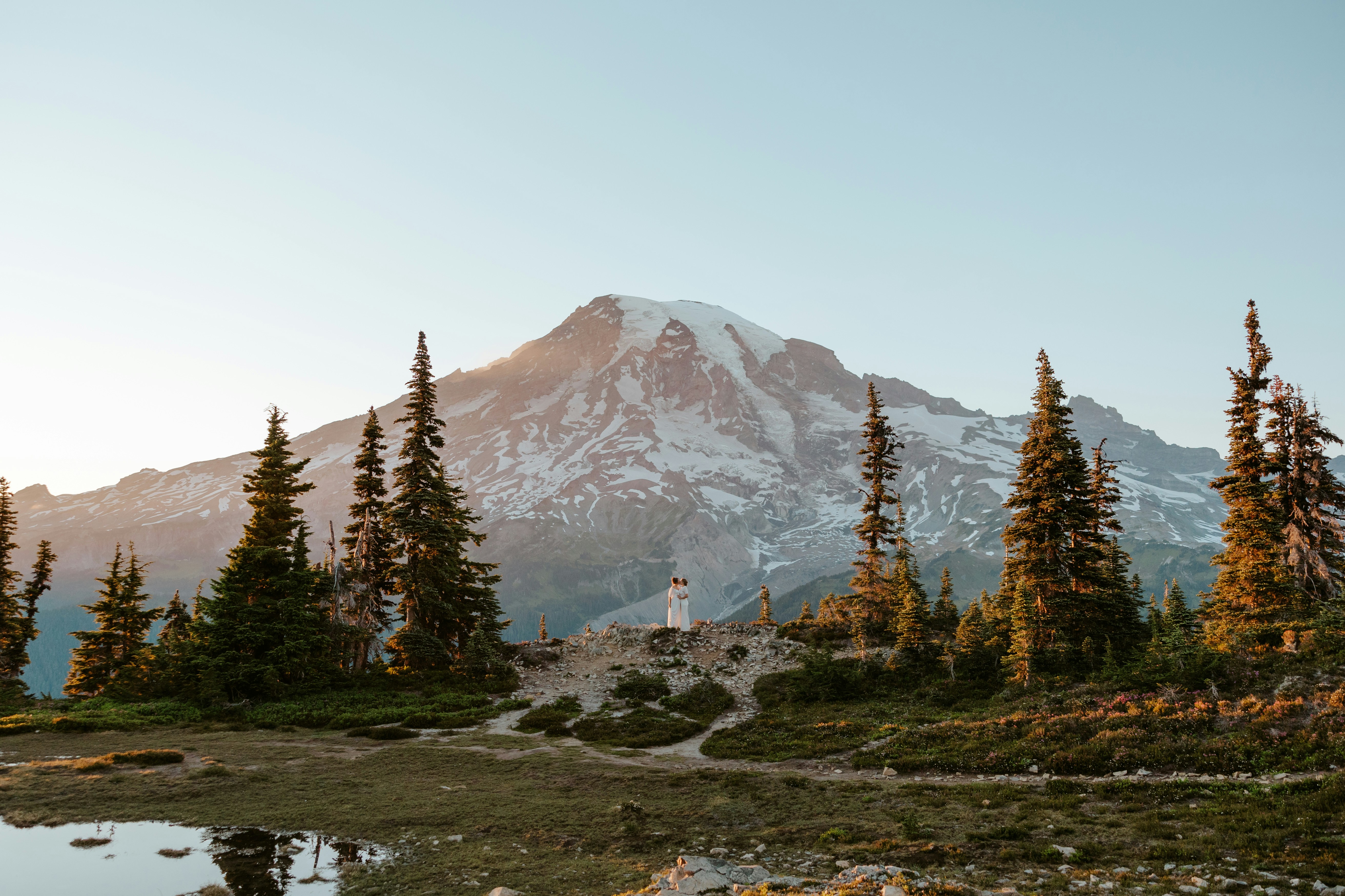 Snow-capped mountain peak behind evergreen trees at sunrise.