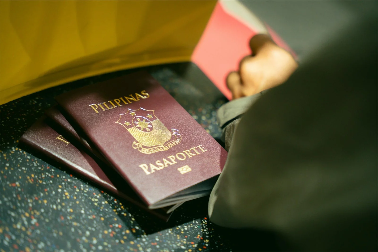 Pasport Ses Hopsedajes