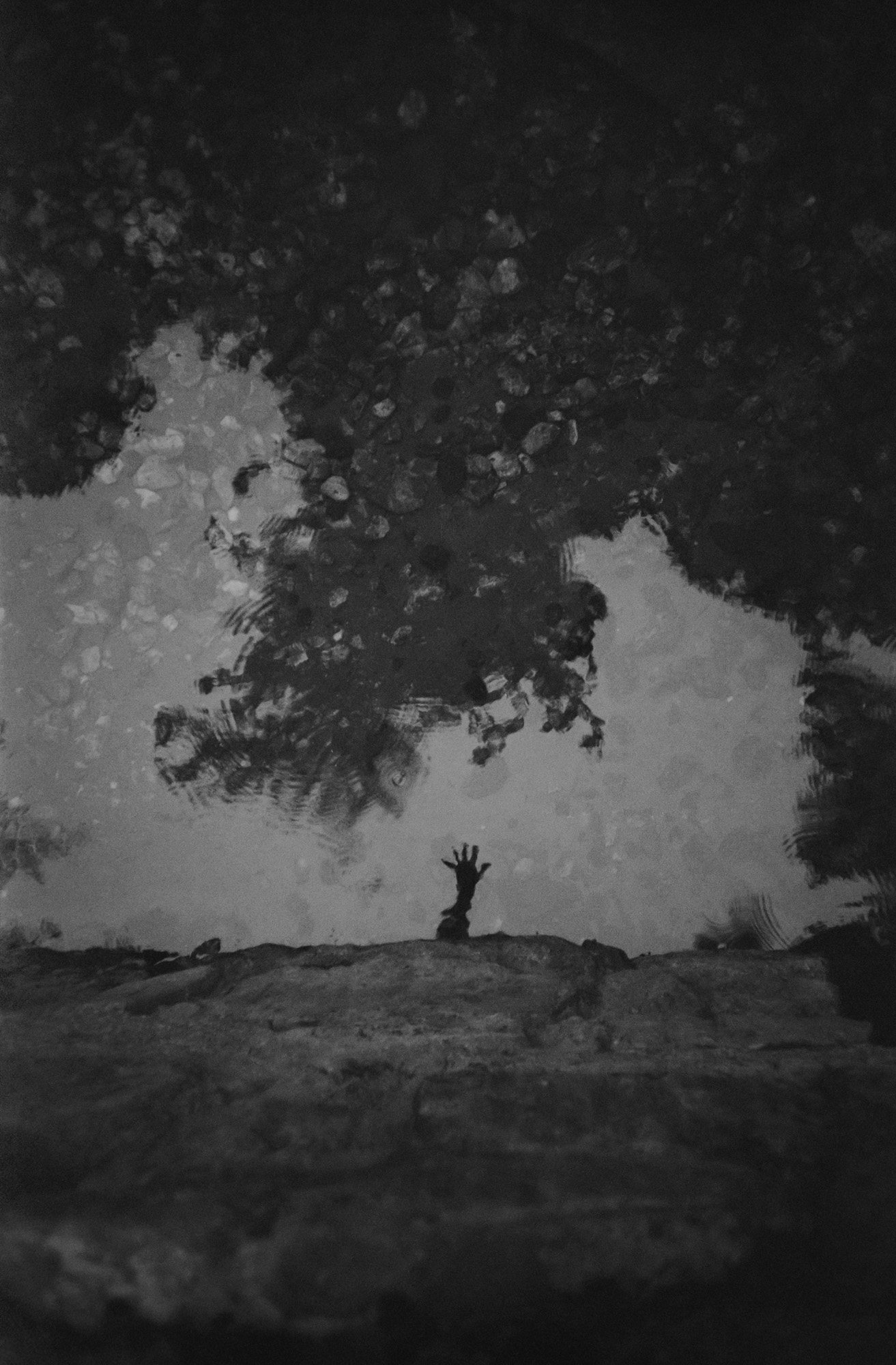 Taisei Matsumoto, archive random photograph 041