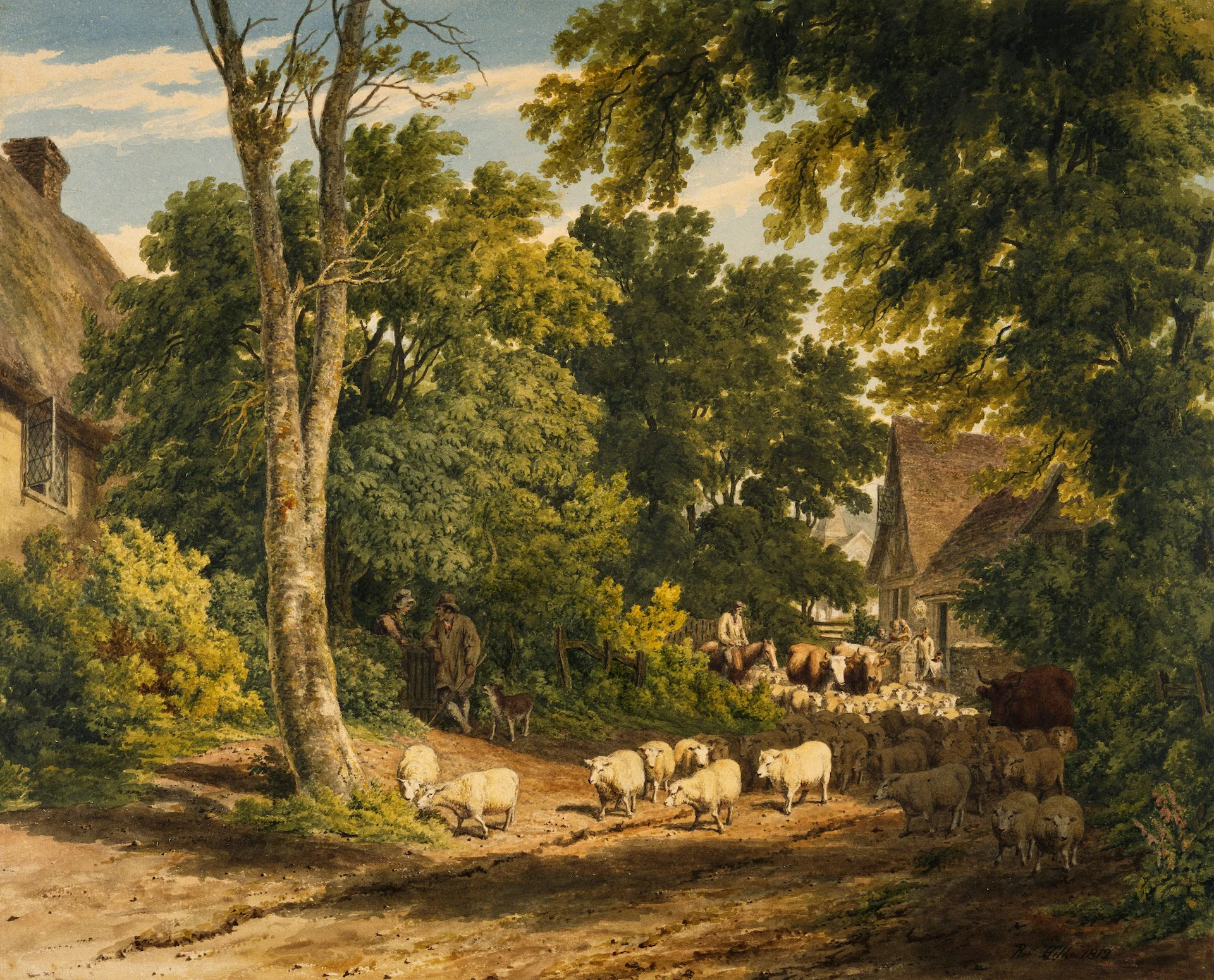 Pastoral Lane with Sheep Flock