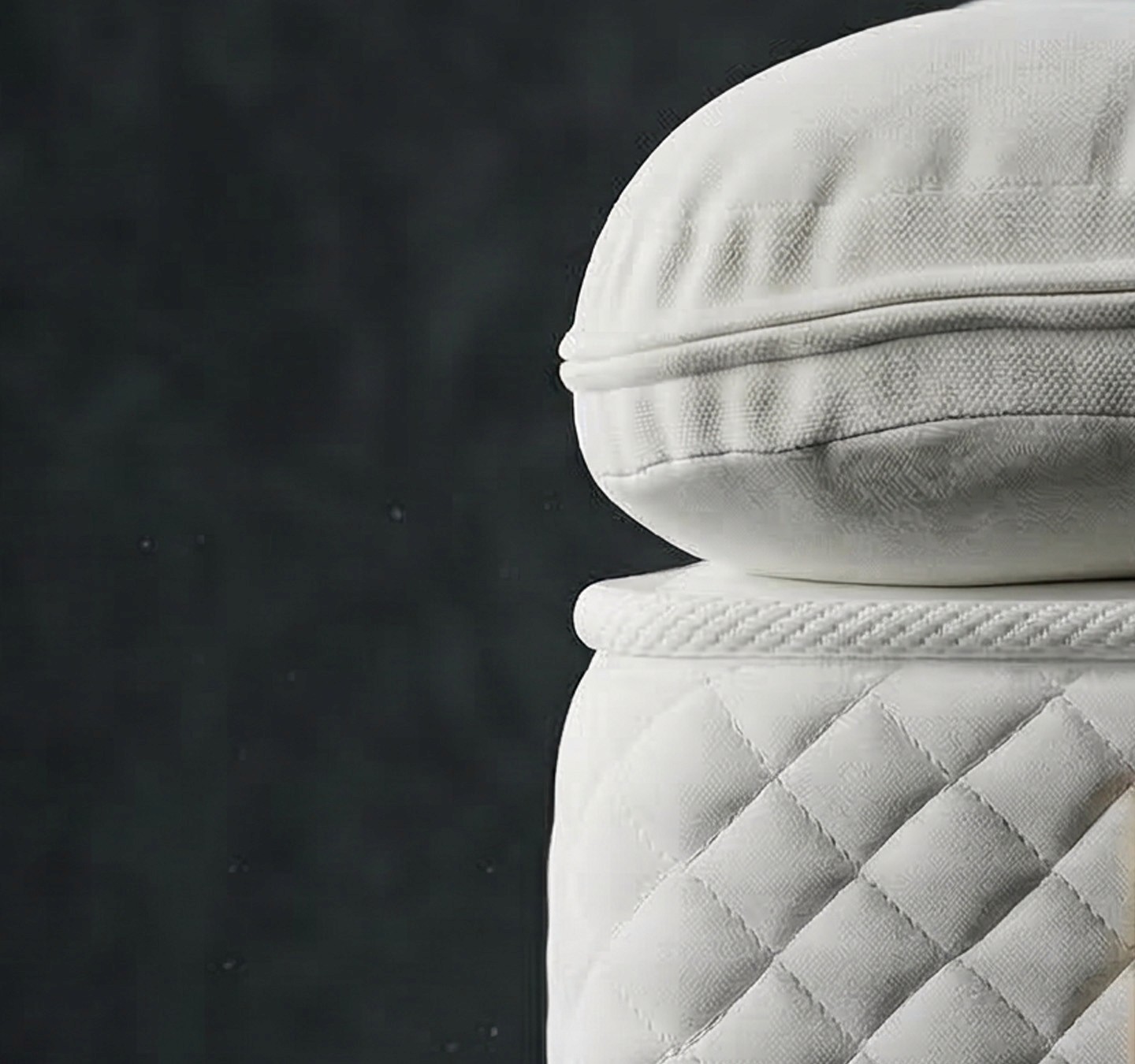 Blonde wood interior with curved walls, wooden bench, directional sunlight, and botanical shadows.