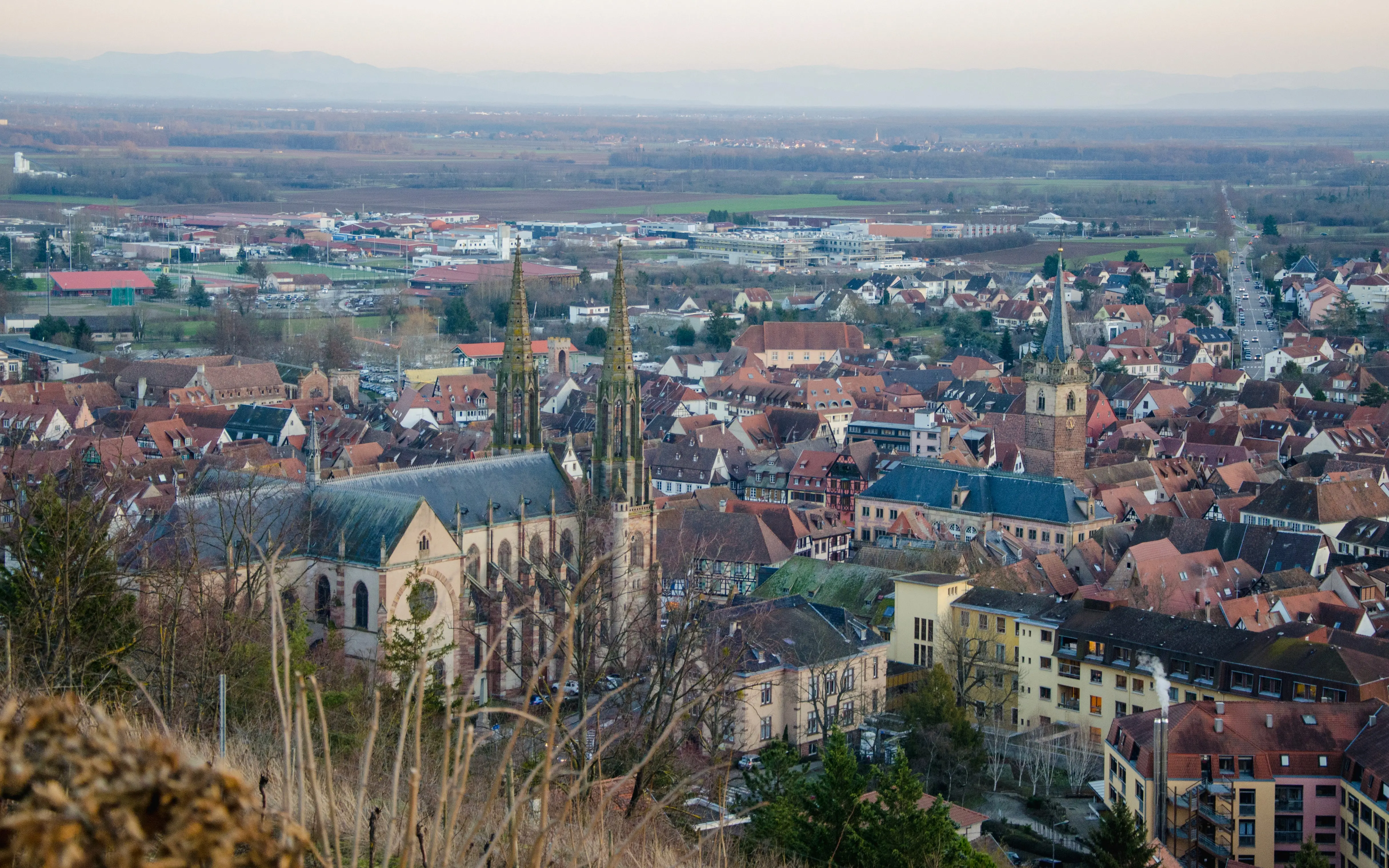 Vue sur la vieille ville historique d'Obernai – cité médiévale sur la Route des Vins d'Alsace