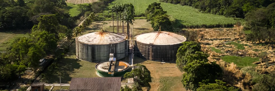 Diplomatico distillery