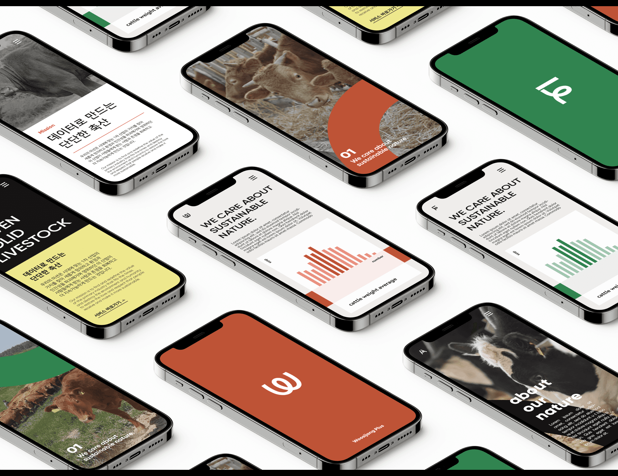 Responsive Image