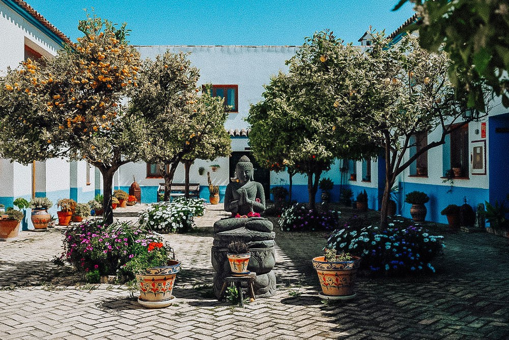 Serene courtyard with a Buddha statue surrounded by lush trees and vibrant flowers. Sunny day, colorful ceramic pots, peaceful atmosphere.