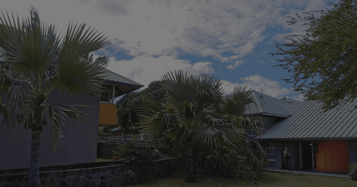 Bâtiments tropicaux avec toits en métal, entourés de palmiers et d'arbustes, sous un ciel nuageux.