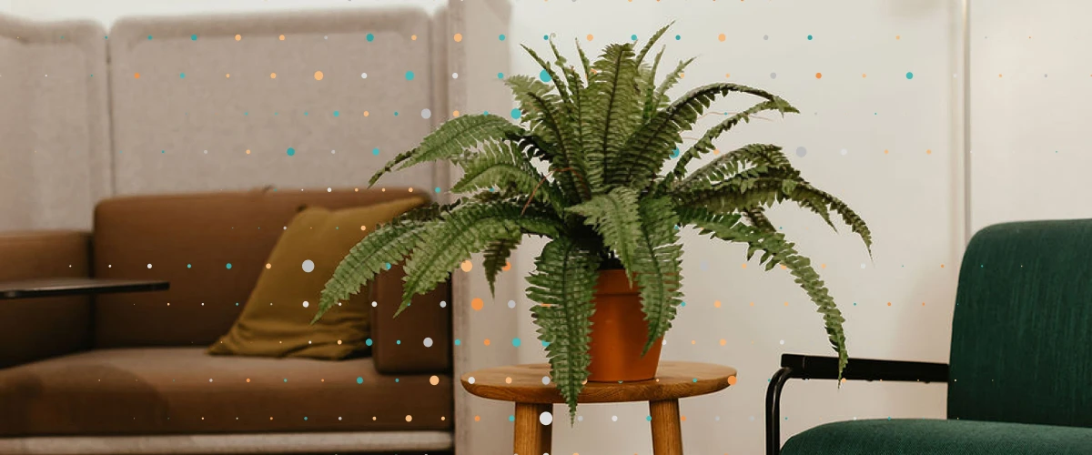 green leaf growing from soil