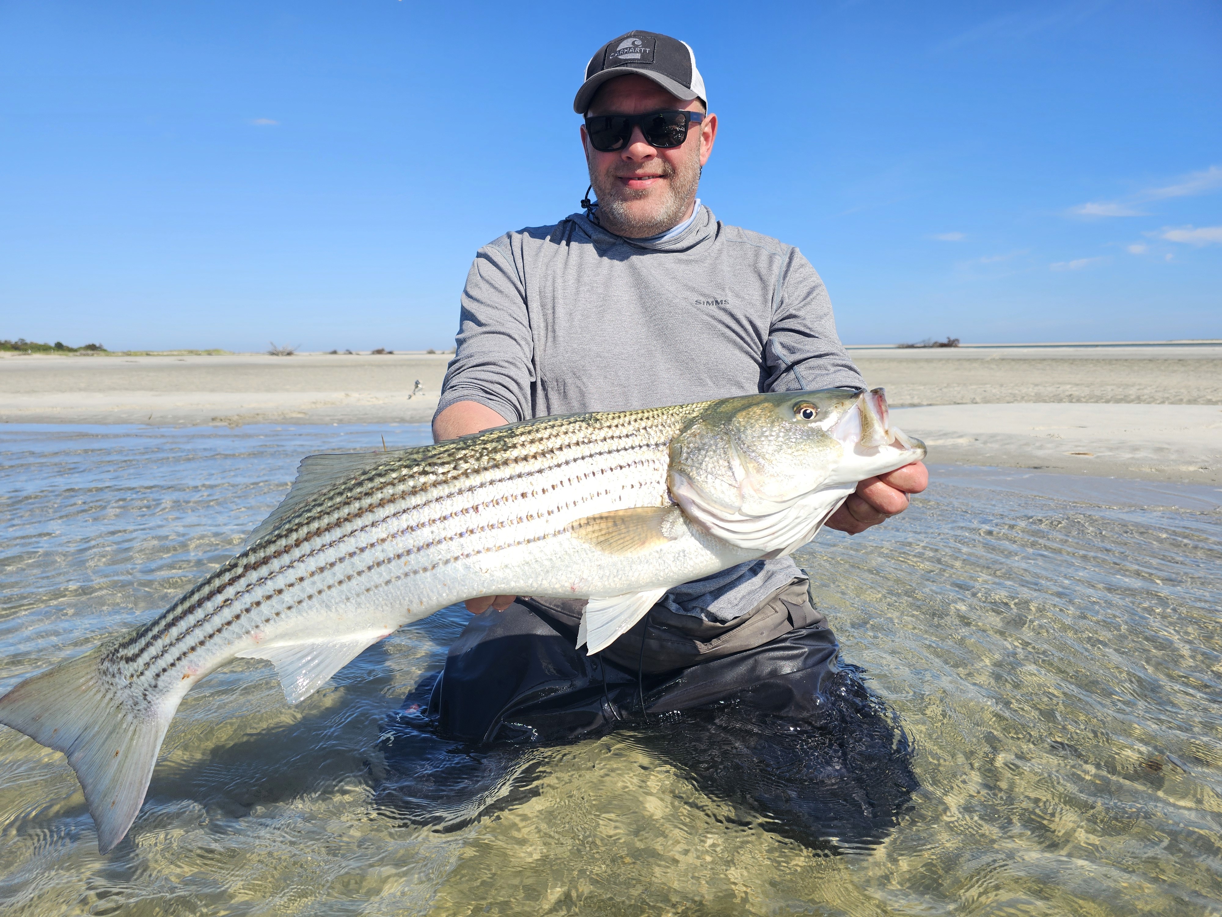 Cape Cod, striped bass, bluefish, tun