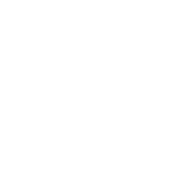 Custom button