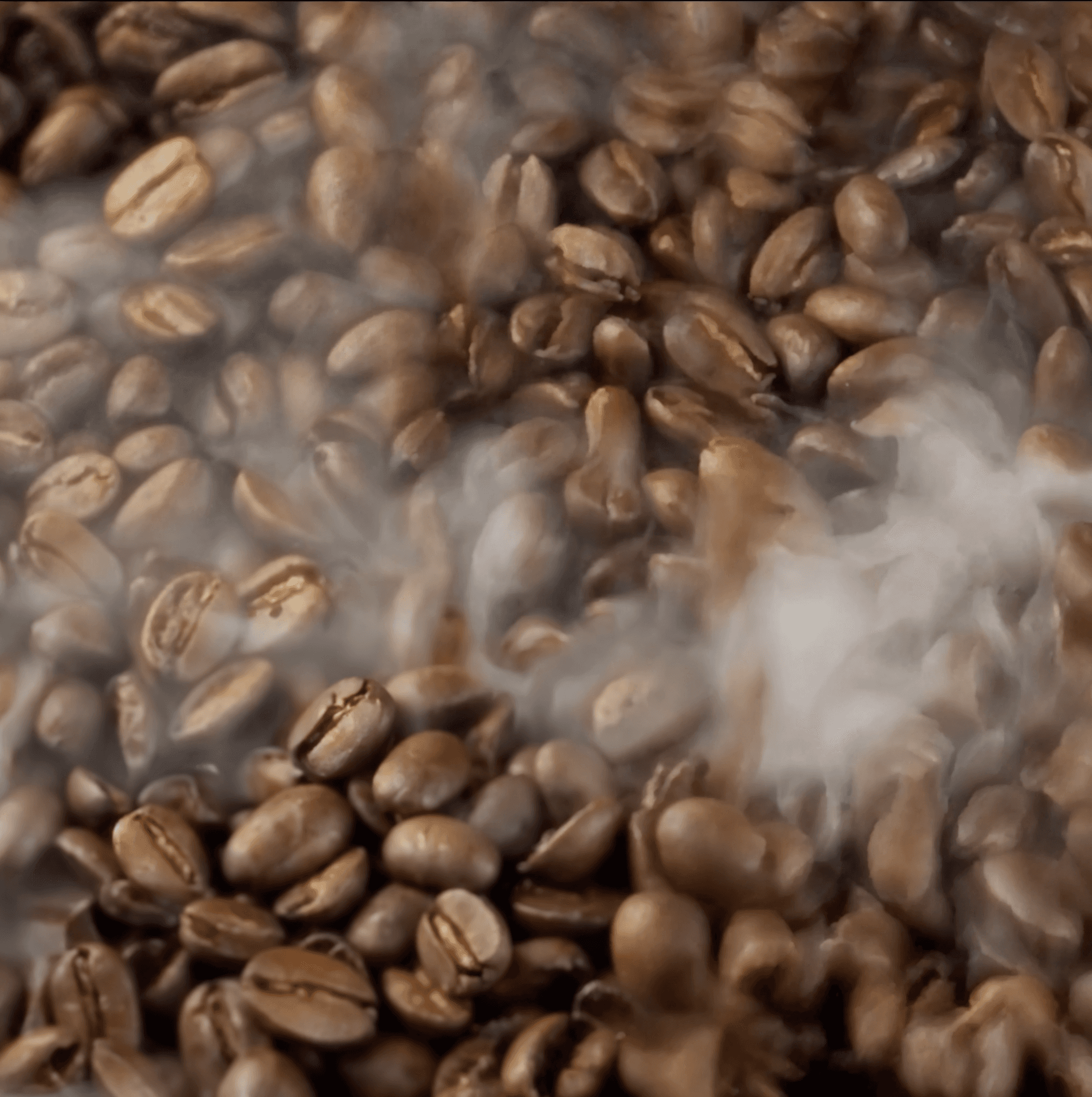 Fresh-roasted coffee beans in swirling steam, capturing Blue Tokai’s artisan coffee ritual