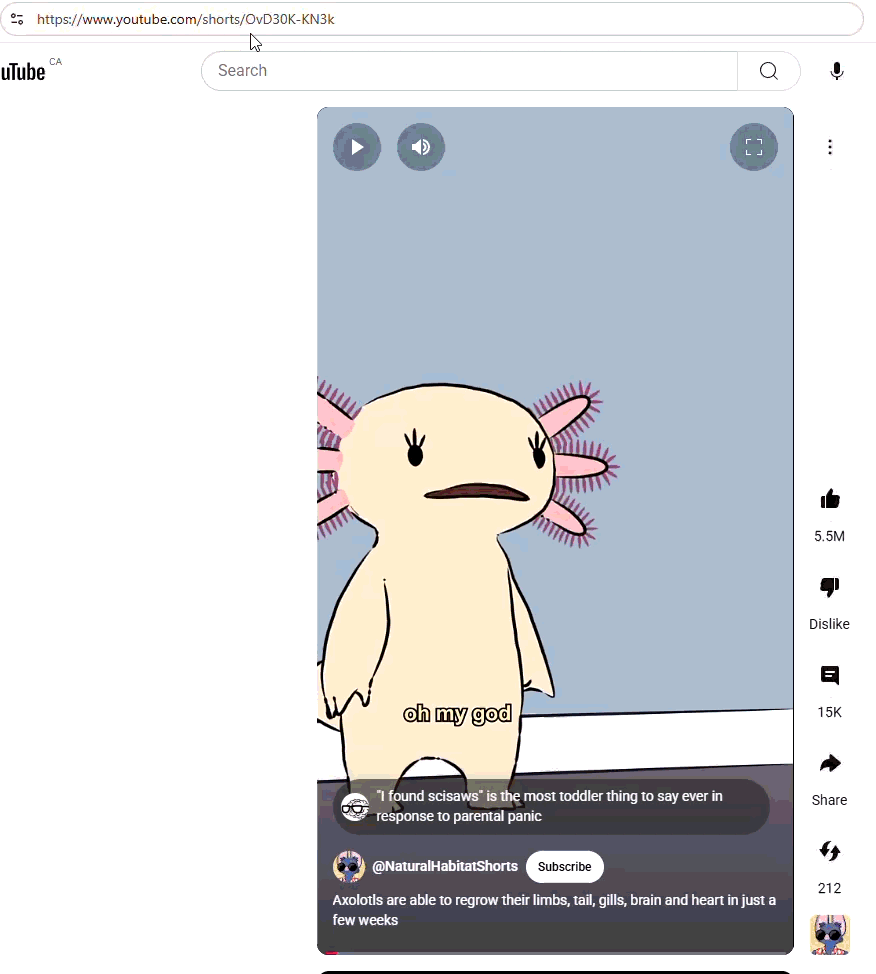 YouTube Audio Tracks