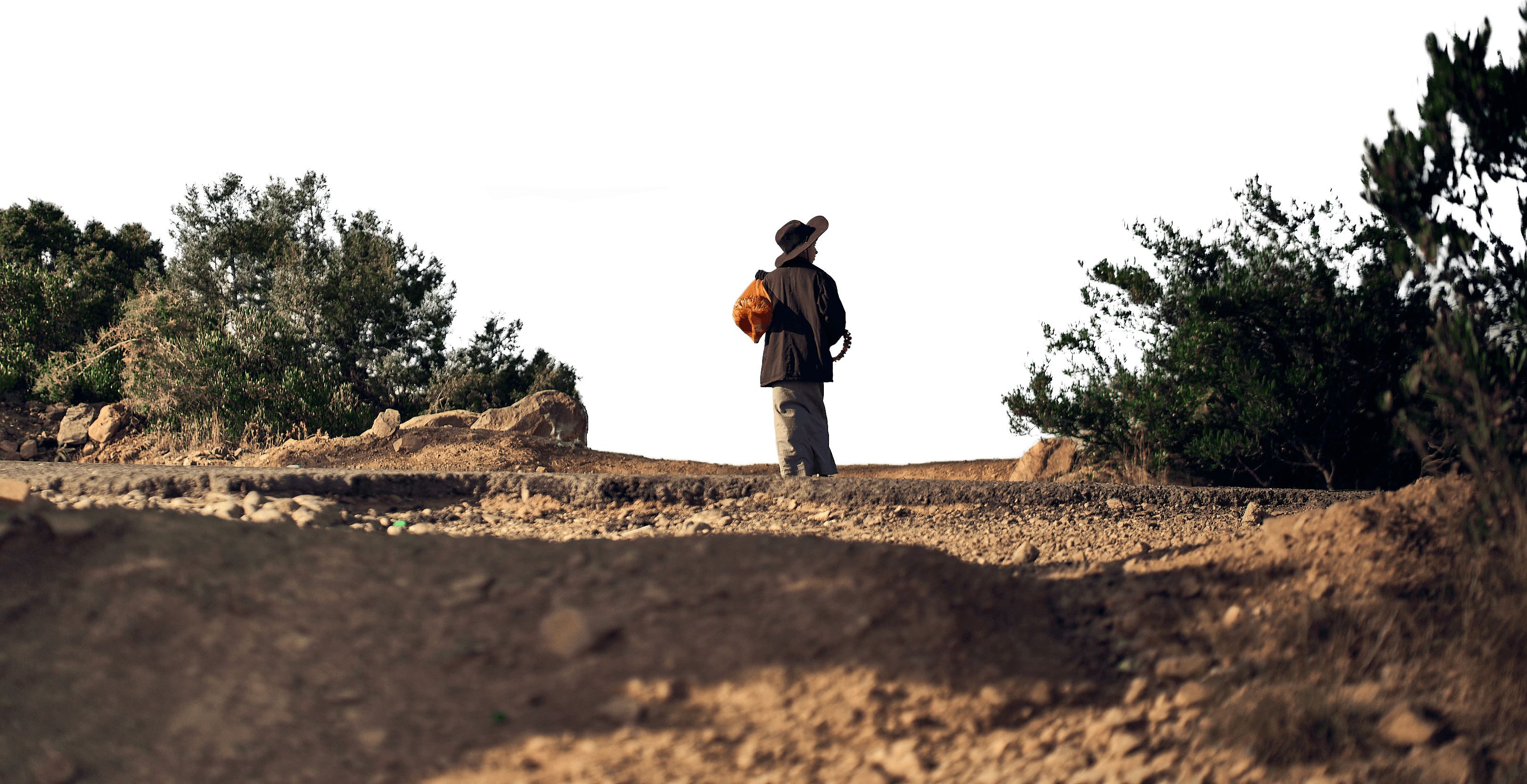 Blurred portrait of a woman with warm skin tones and a purple background.