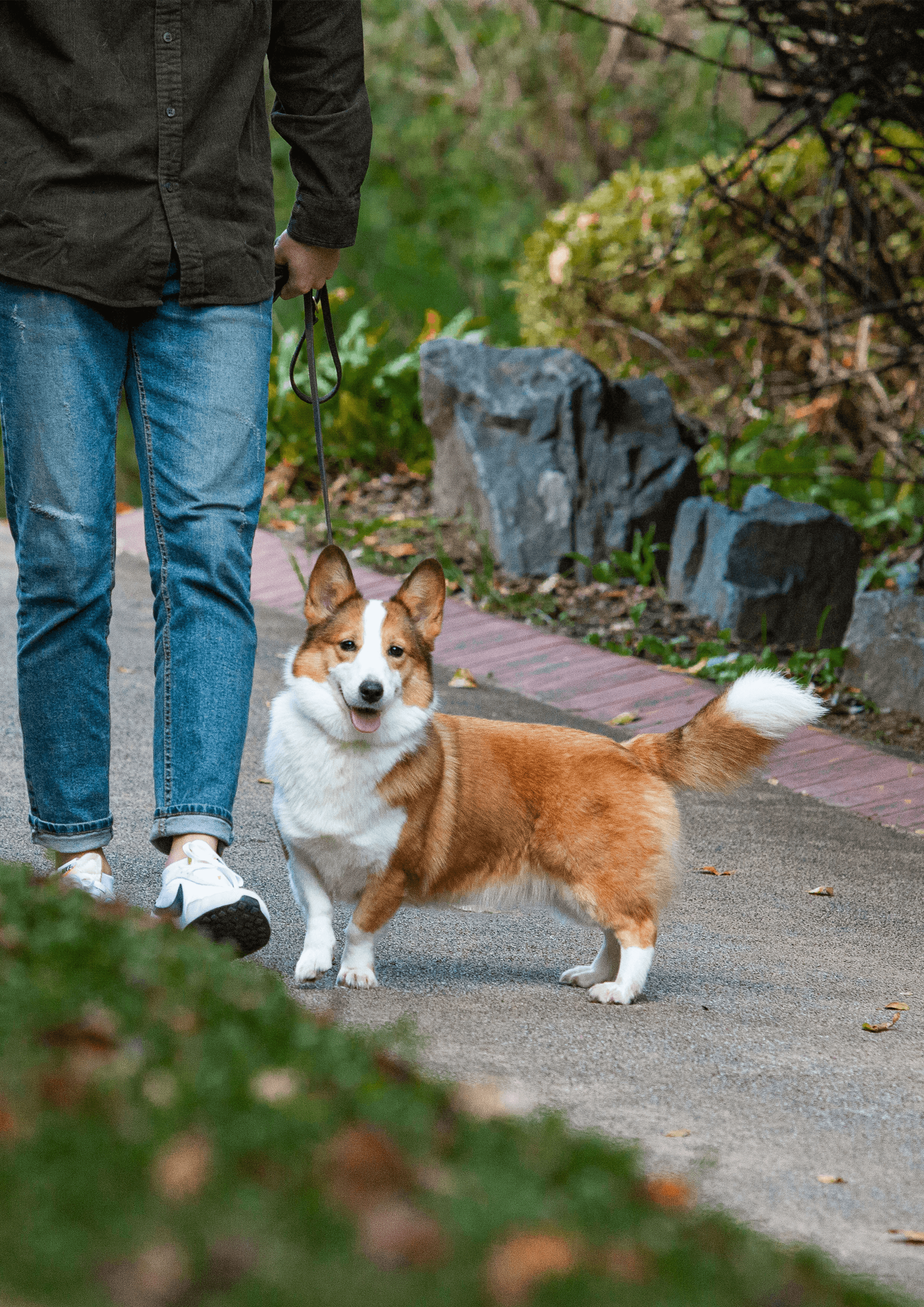 AquaFlow's transparent and eco-friendly packaging showcases the purity of its mountain spring water.