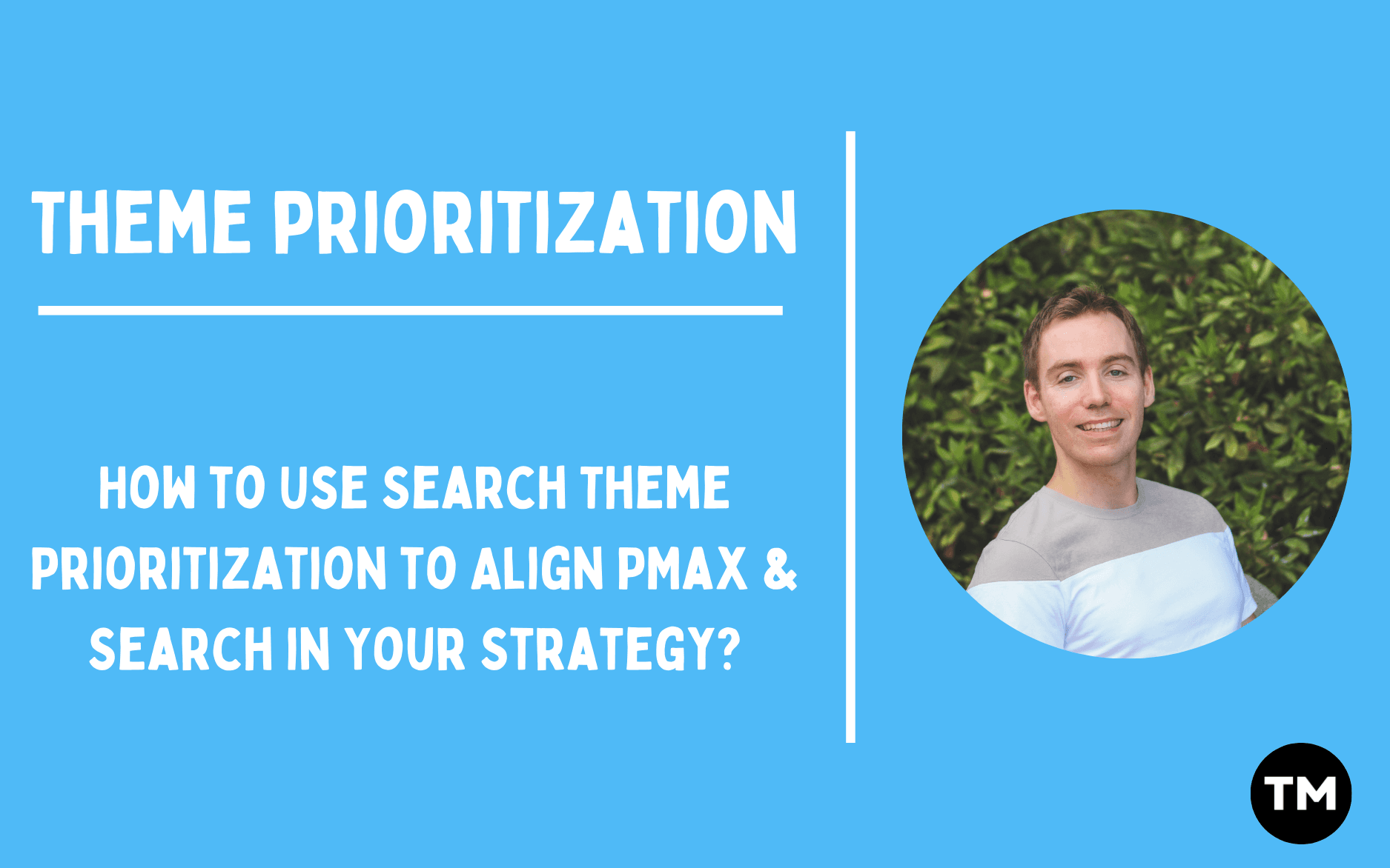 Theme Prioritization / Paid Media Insights