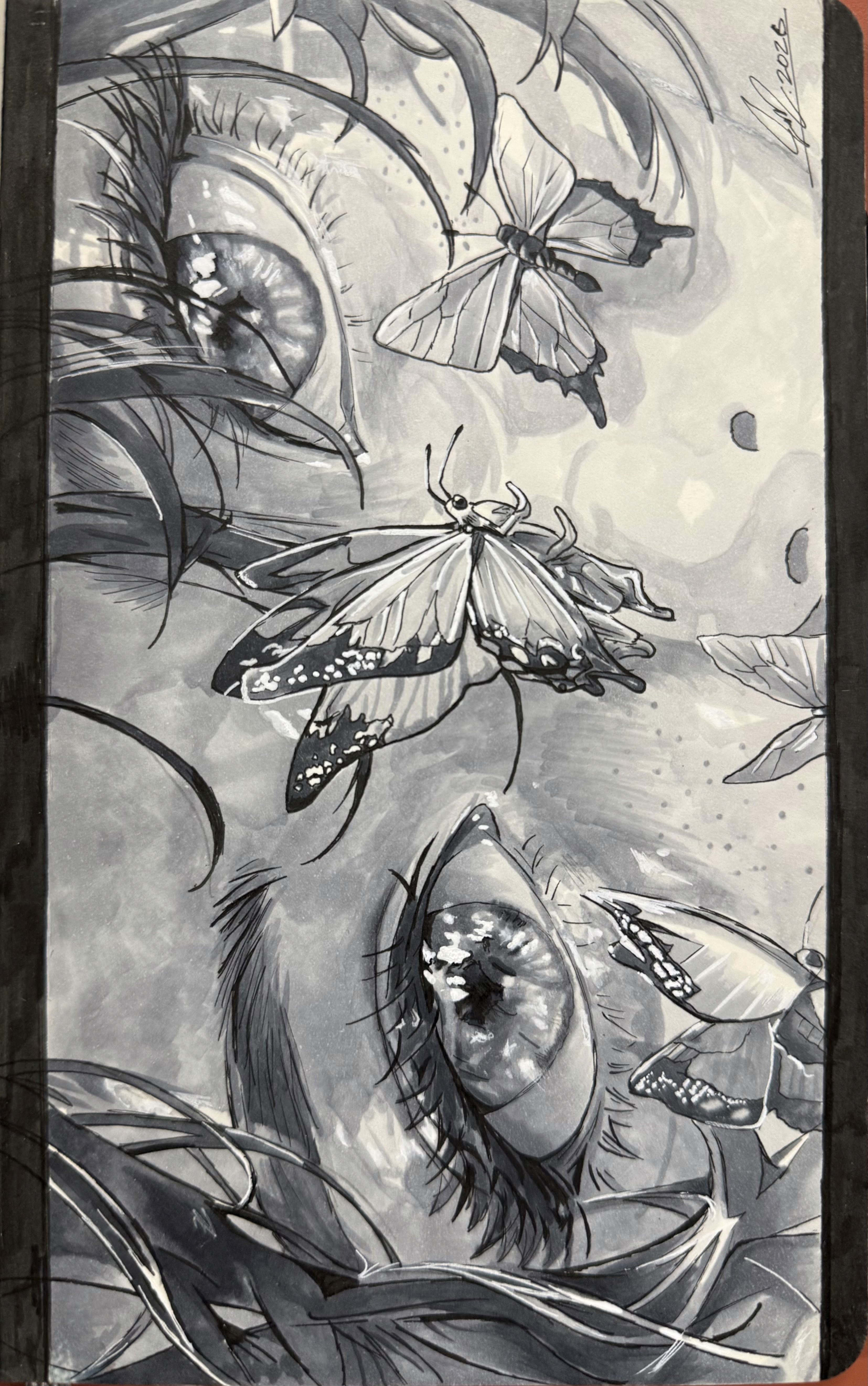 Page 13 front