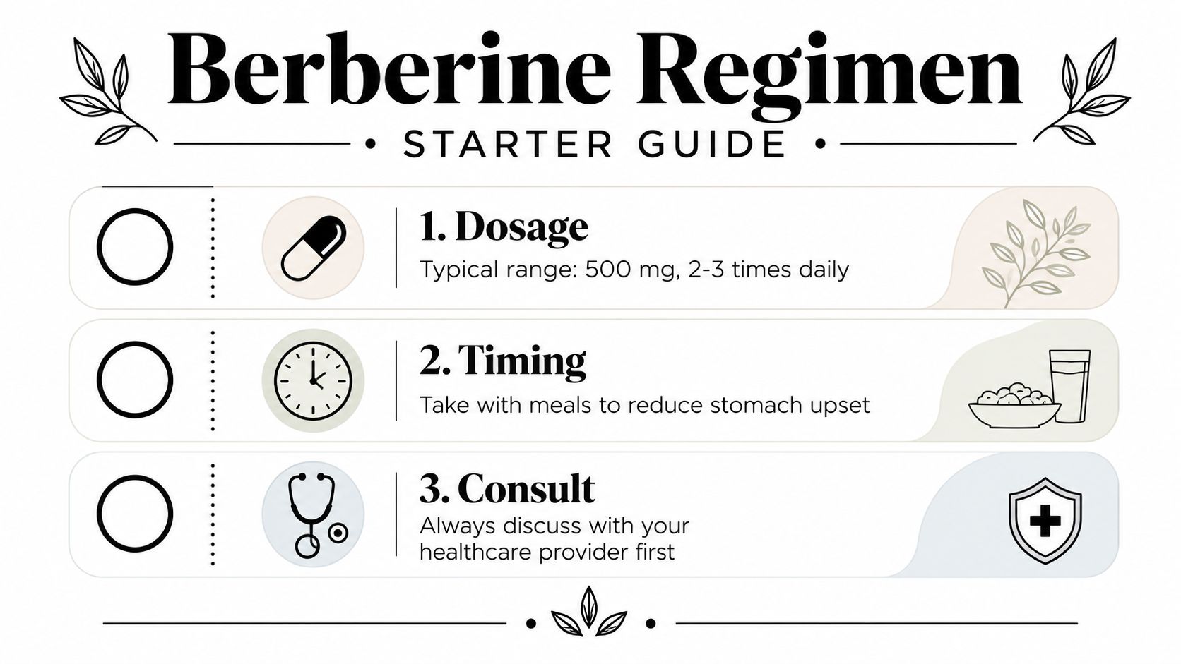 An infographic titled Berberine Regimen Starter Guide outlining three steps: dosage, timing, and professional consultation.