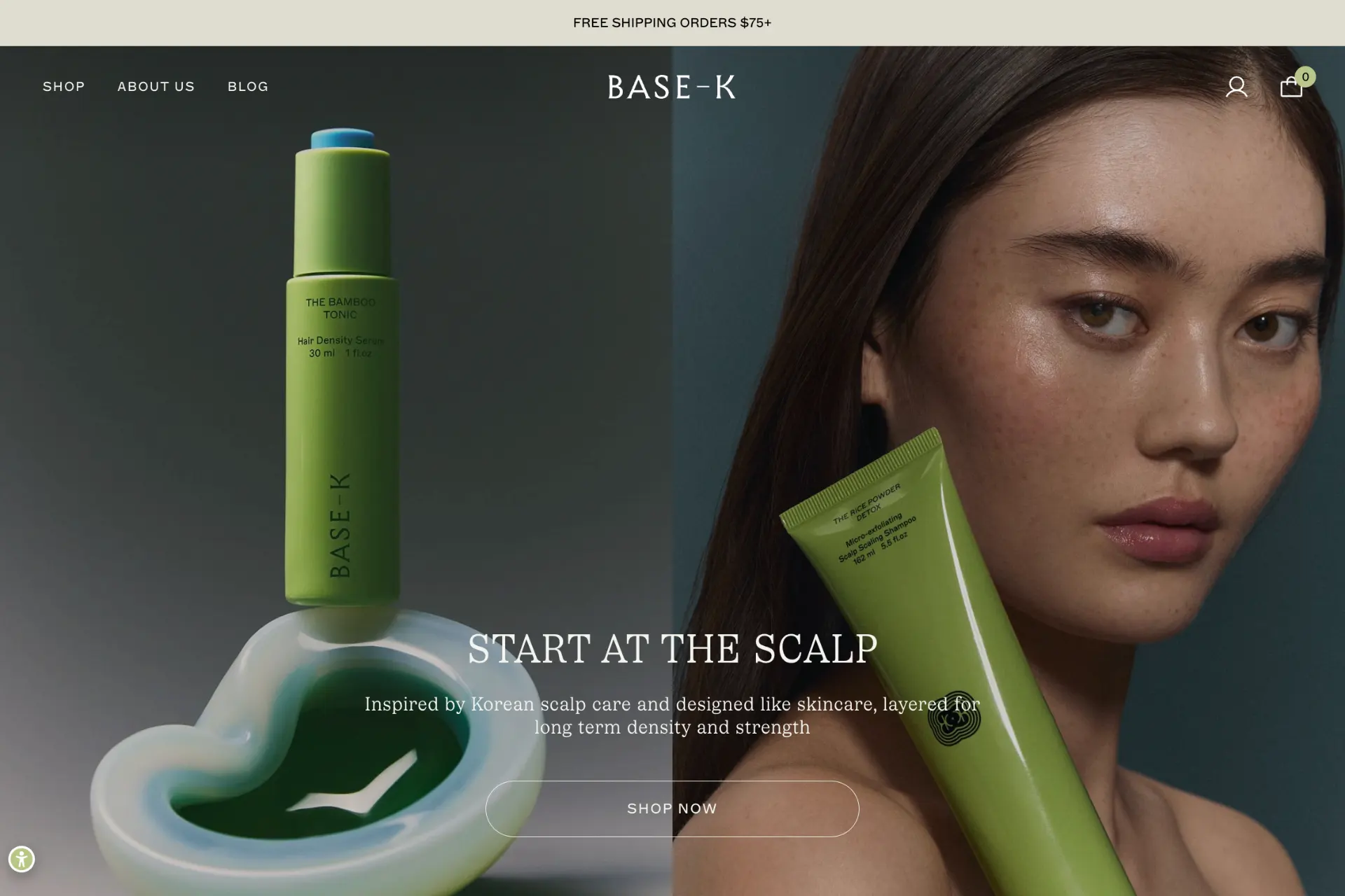 Screenshot of BASE-K website