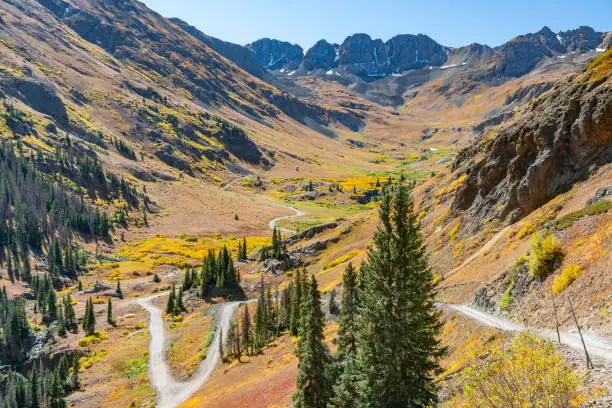 For in the road in the San Juan Mountains 