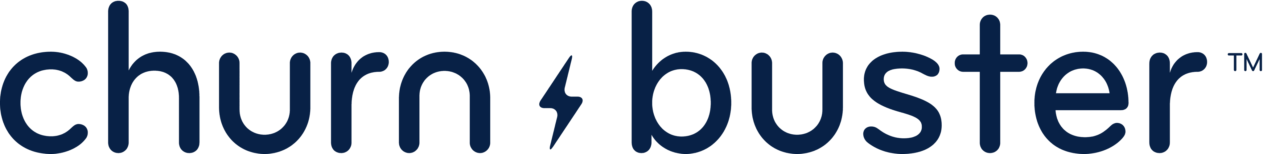 Text logo for "churnbuster" in a stylized font, predominantly dark blue color on a light background.
