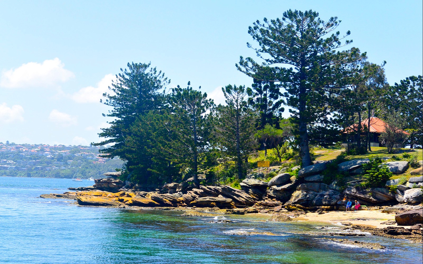 Costa de Sídney Harbour con árboles y costa rocosa, vista desde el crucero turístico.