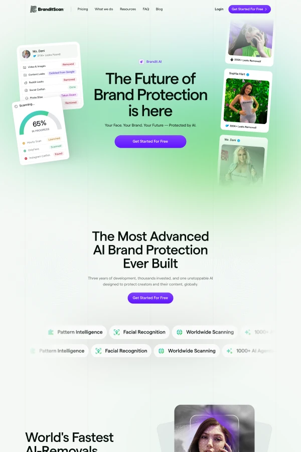 Homepage Section for Branditscan
