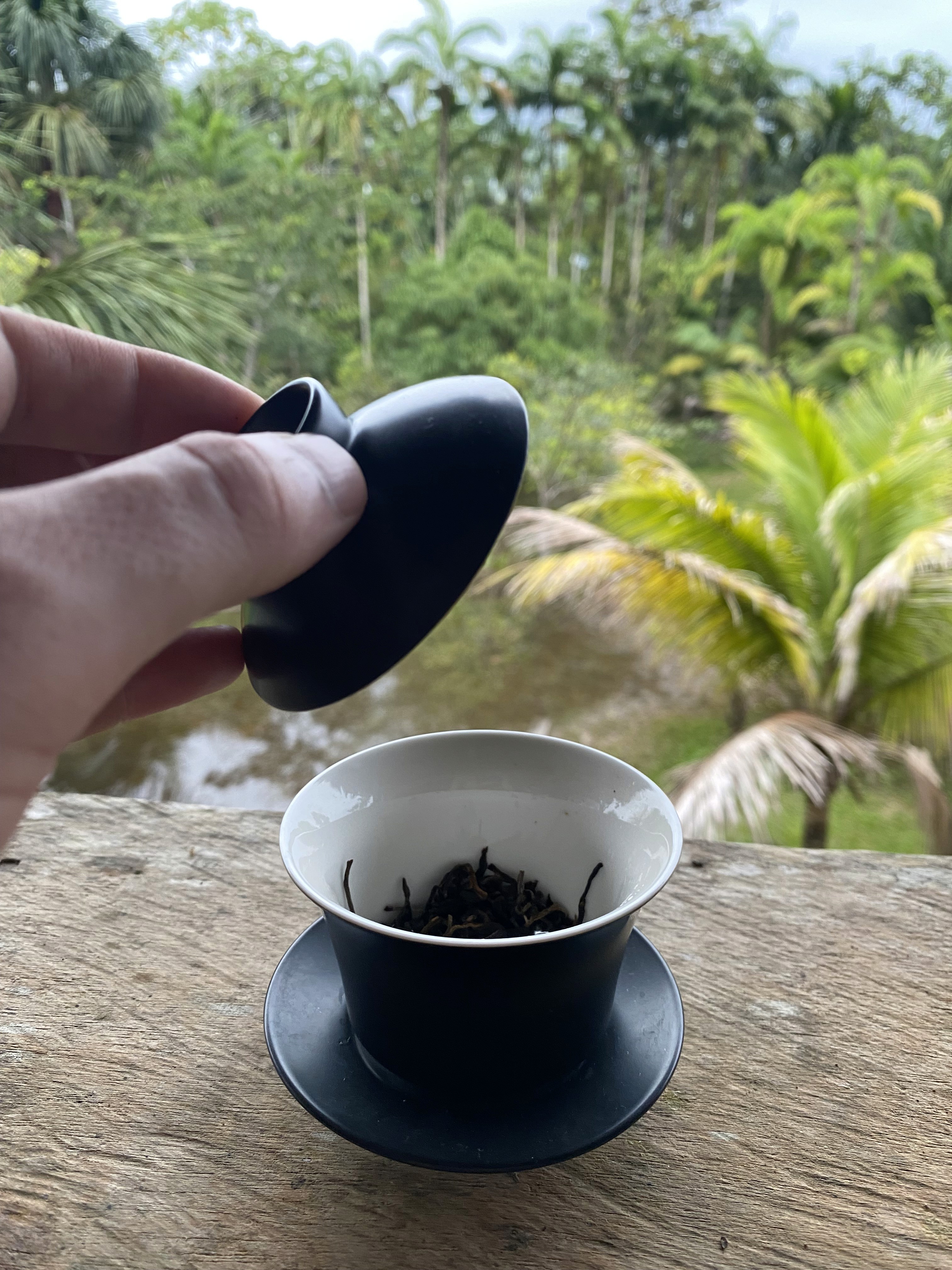 Gaiwan in Jungle