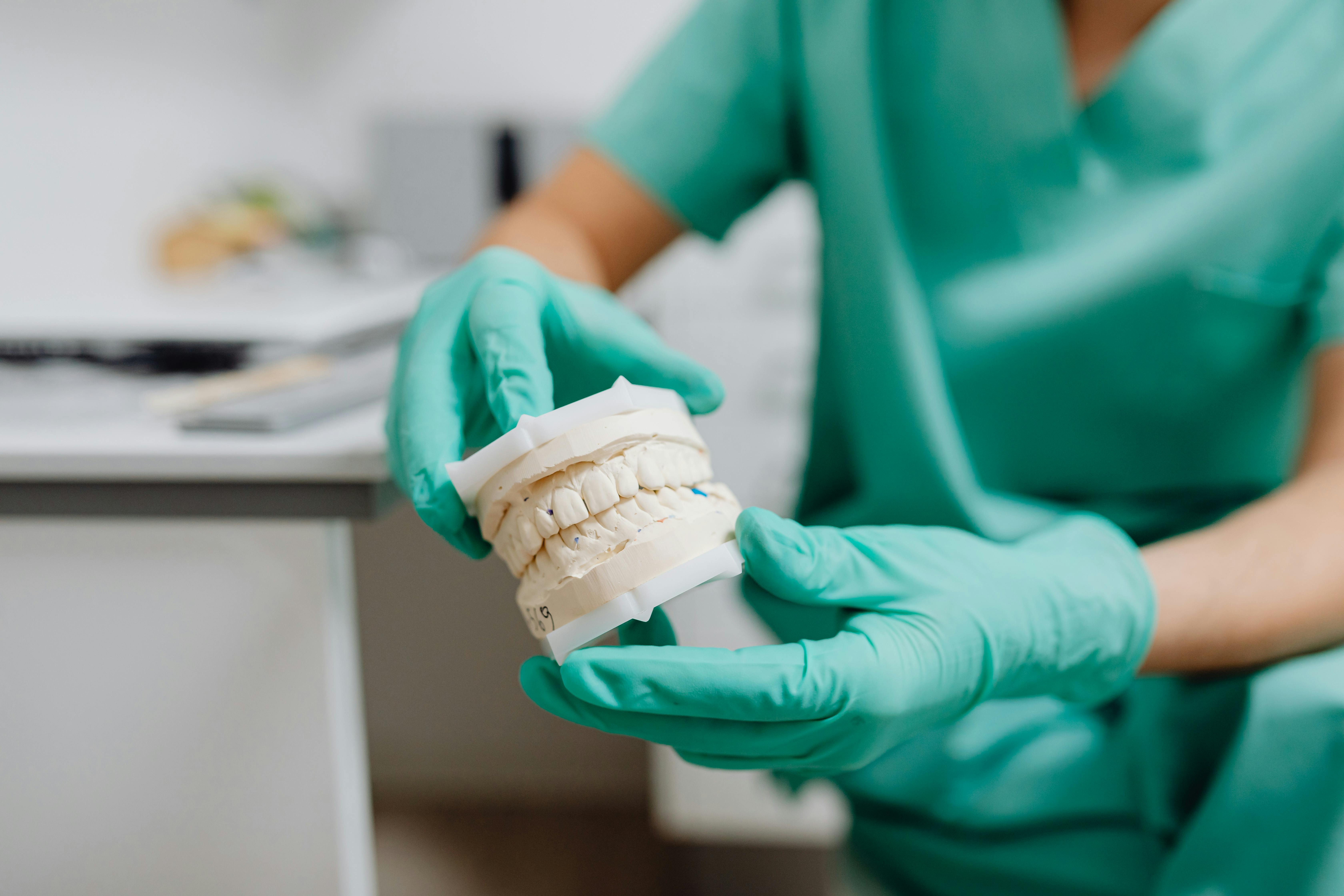 Dental hygienist holds up a model of teeth