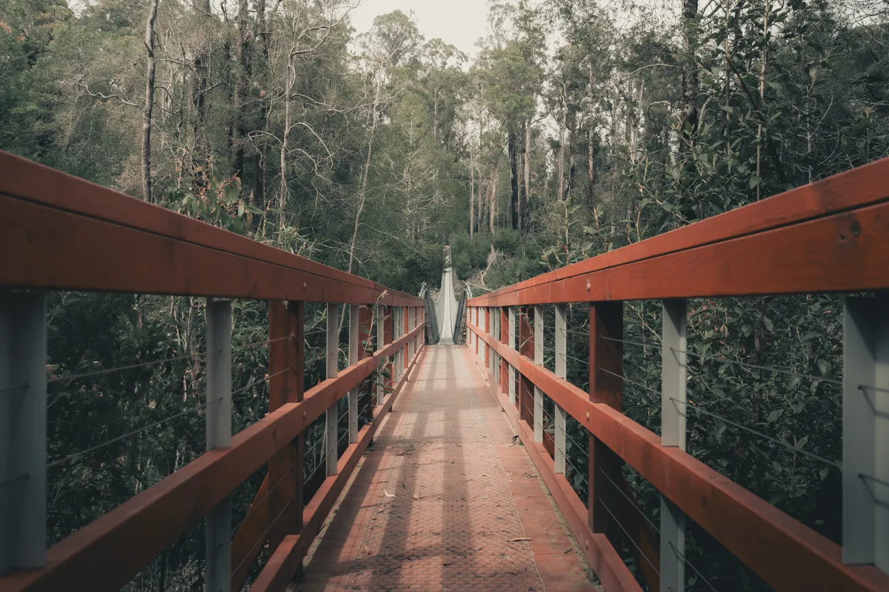 Tahune Swinging Bridge