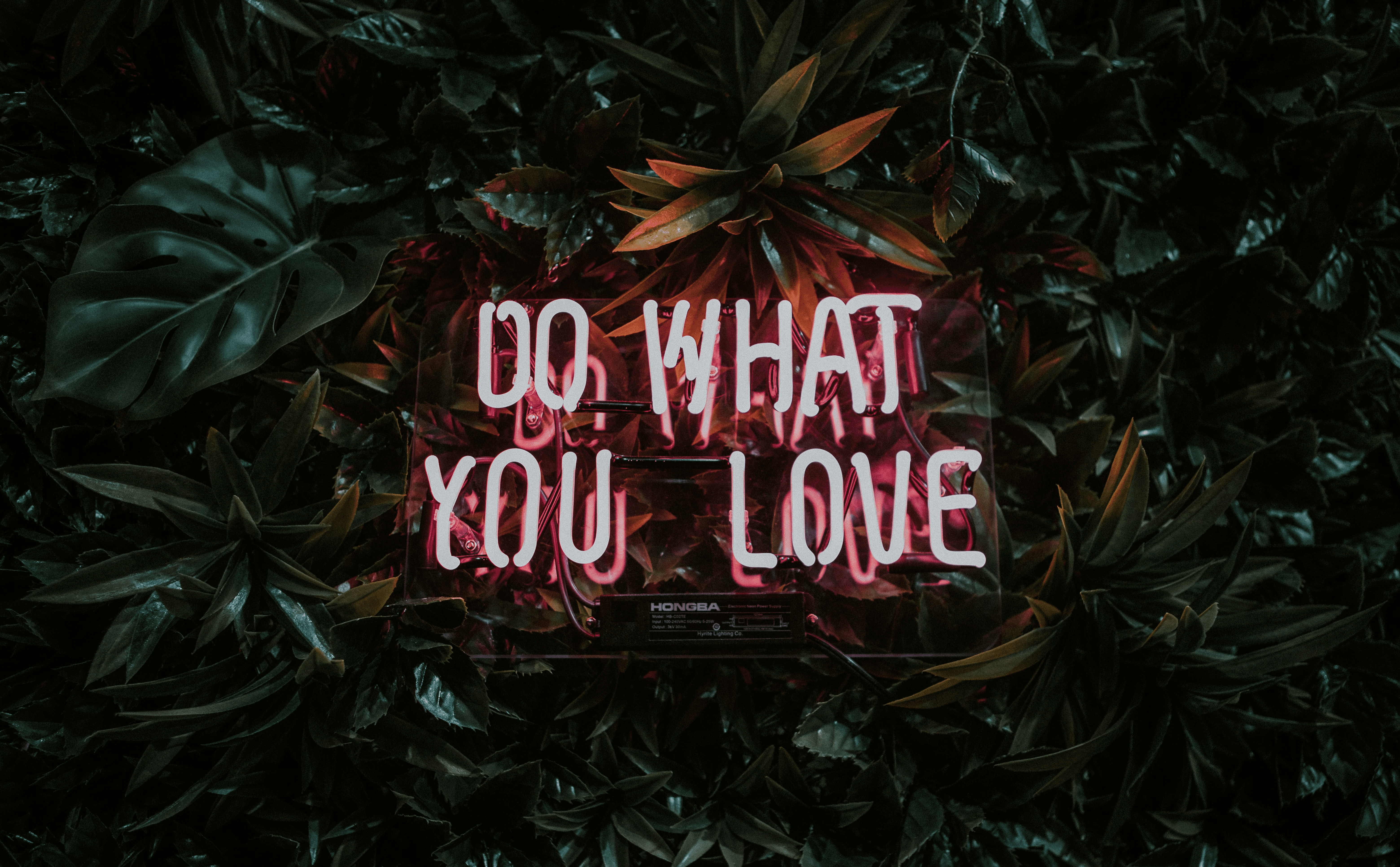 happy birthday to you signage