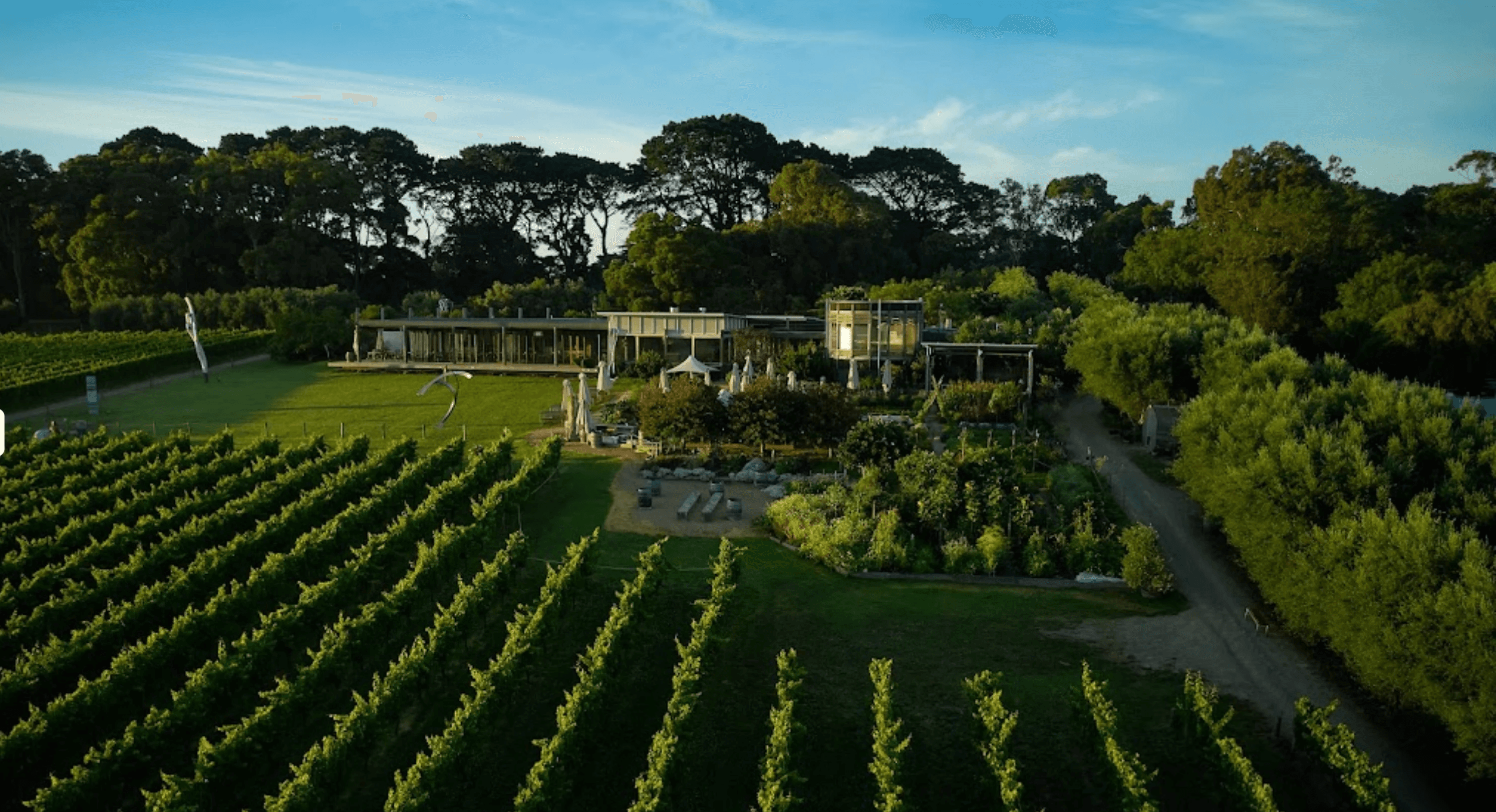 Montalto Winery VIC